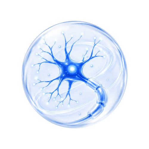 Crosses the Blood-Brain Barrier