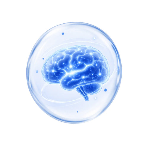 Cellular Antioxidant Defense